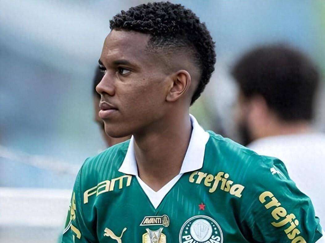 占股20的股东享受什么权利