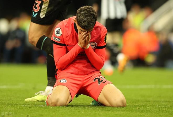 许你万丈光芒好陆云深